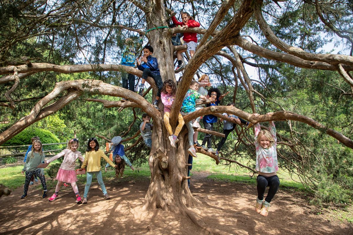 Kindergarten Hike