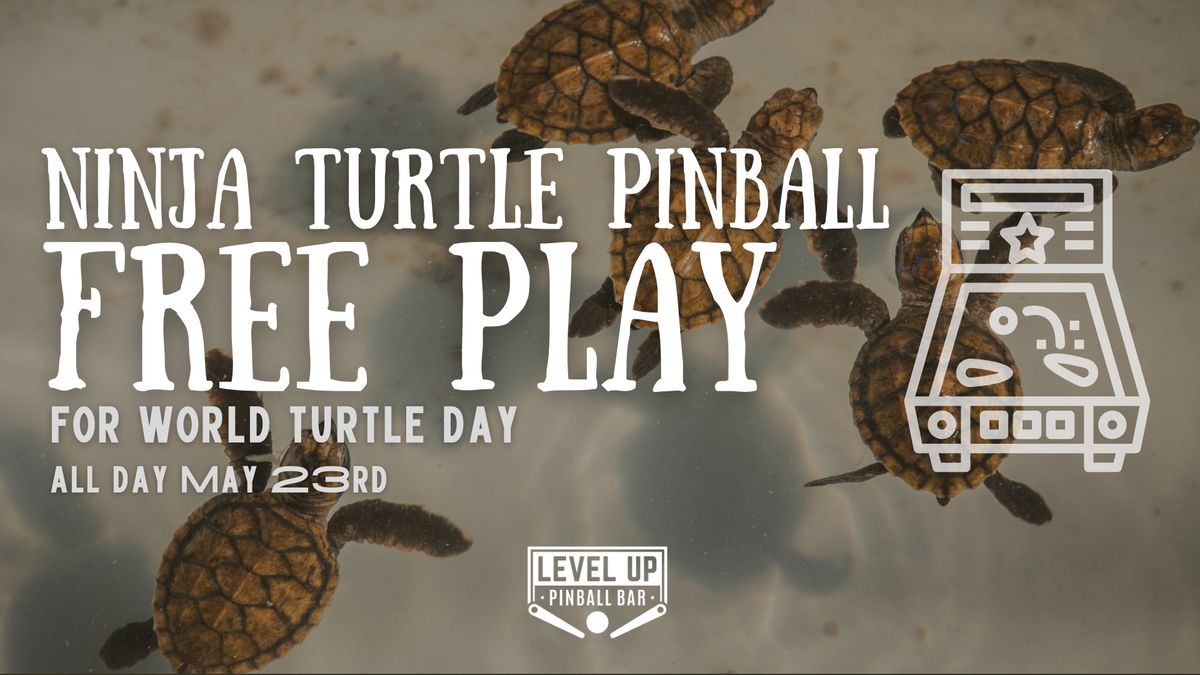 Teenage Mutant Ninja Turtle Pinball on FREE PLAY