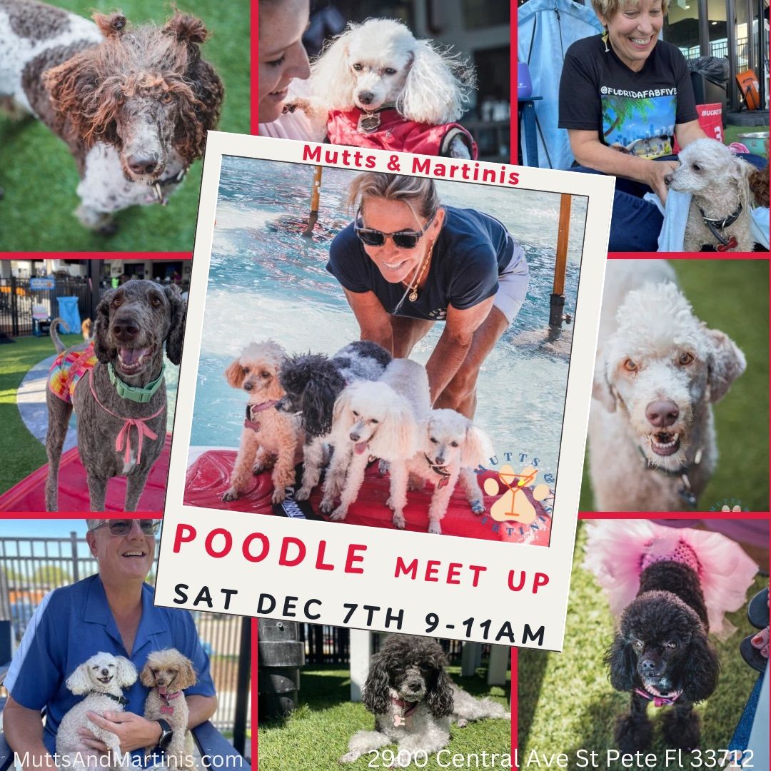 Poodle Meet Up