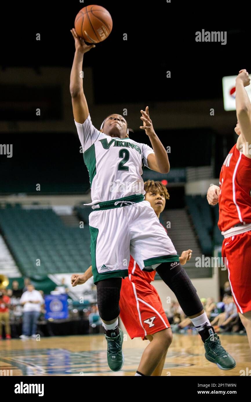 Youngstown State Penguins at Cleveland State Vikings Womens Basketball