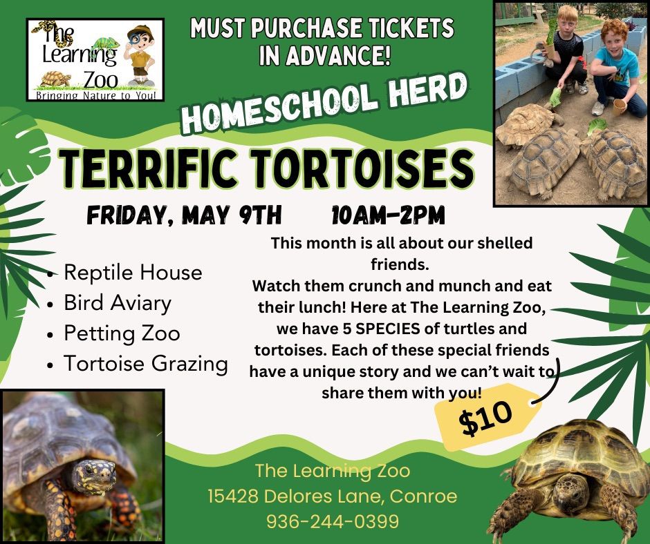 Homeschool Herd - Terrific Tortoises 