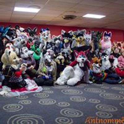 Pittsburgh Furbowl