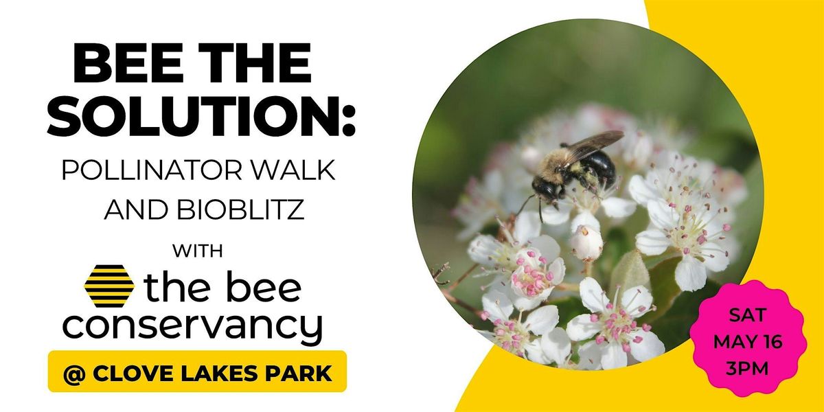 SI Bio-Blitz Bee the Solution Pollinator Walk