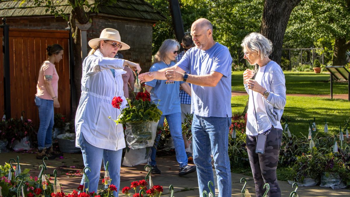 Hanging Basket Sale