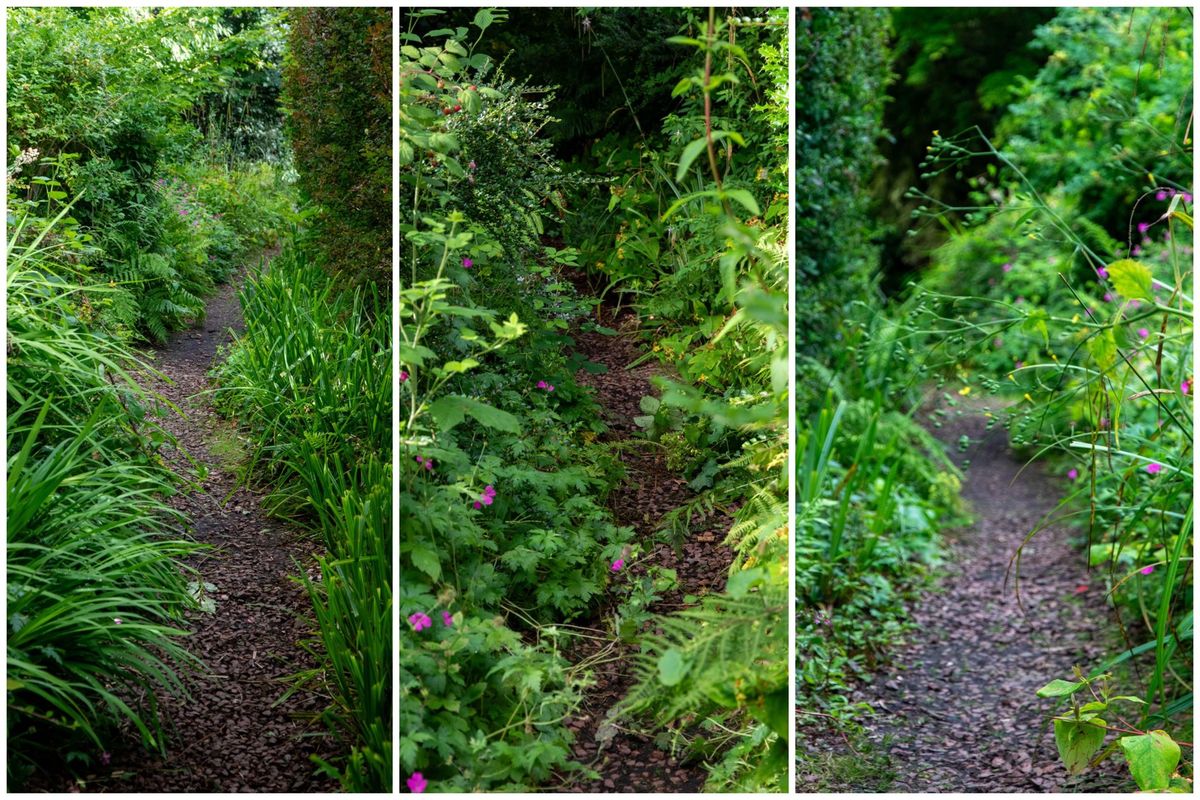 Community gardening - lets tackle the maze!