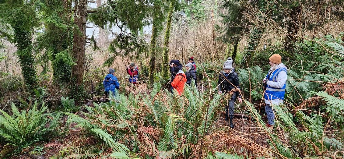 Lincoln City Bird Walk - Regatta Park & Devils Lake