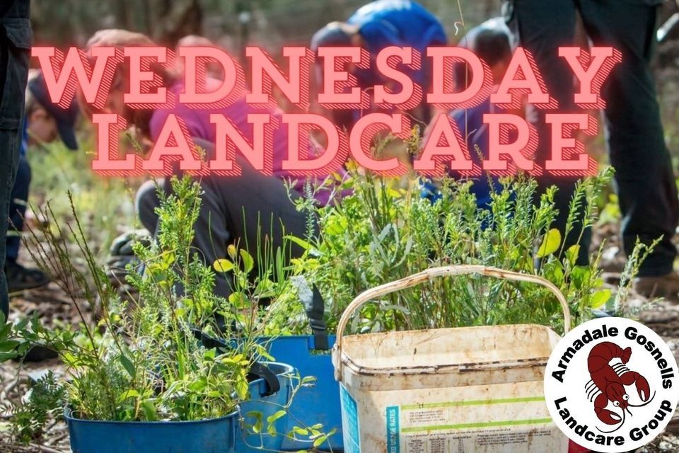 Wednesday Landcare - Weeding along the Canning River near Burslem Bridge, Thornlie