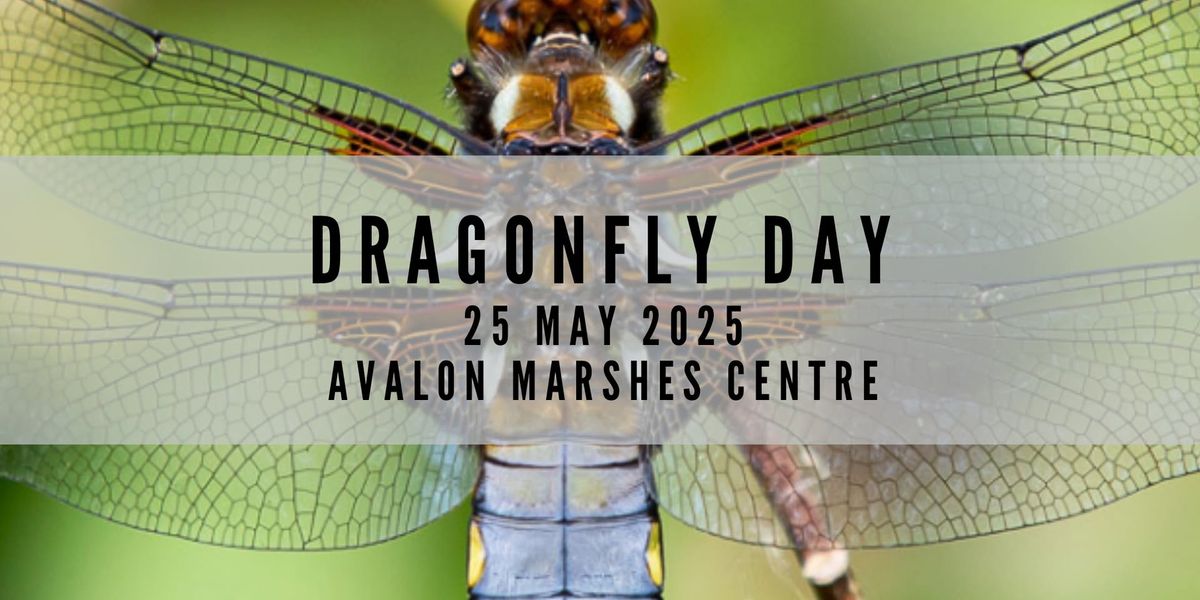 Dragonfly Day