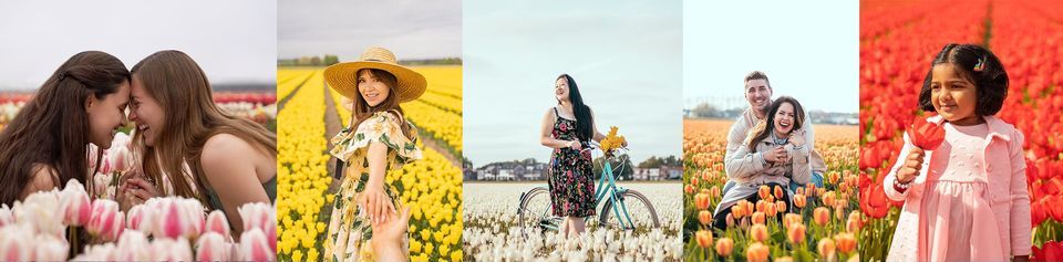 Tulip fields photoshoot and bike or car tour near Amsterdam