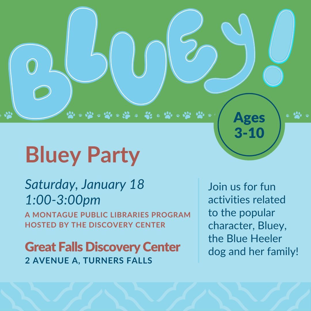 Bluey Party