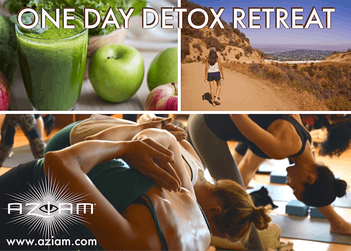 One Day Detox\u2122 Retreat