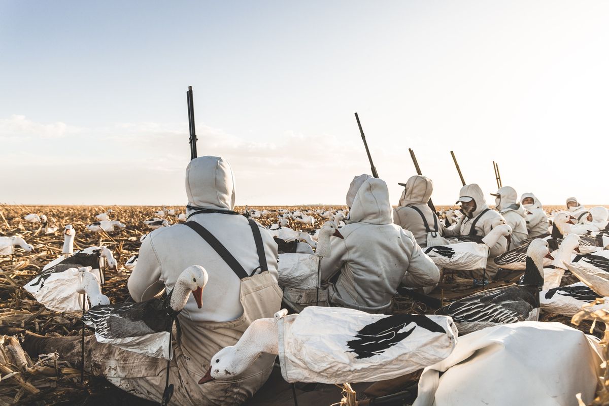 Waterfowl Reload with Delta Waterfowl