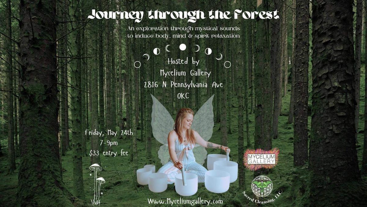 A journey through the forest. Sound bath meditation led by Sacred Cleansing. 