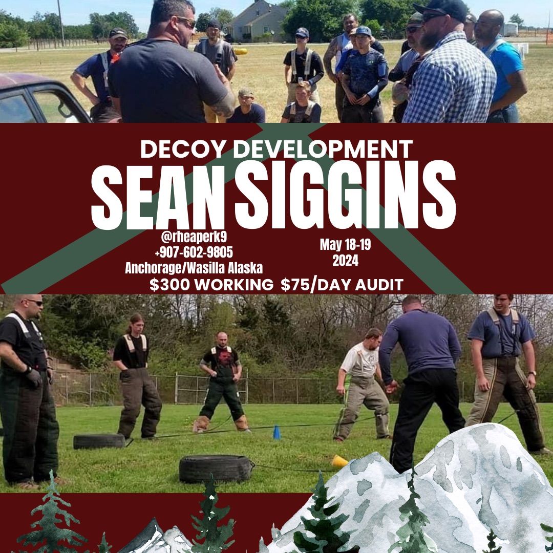 Decoy Development w\/ Sean Siggins