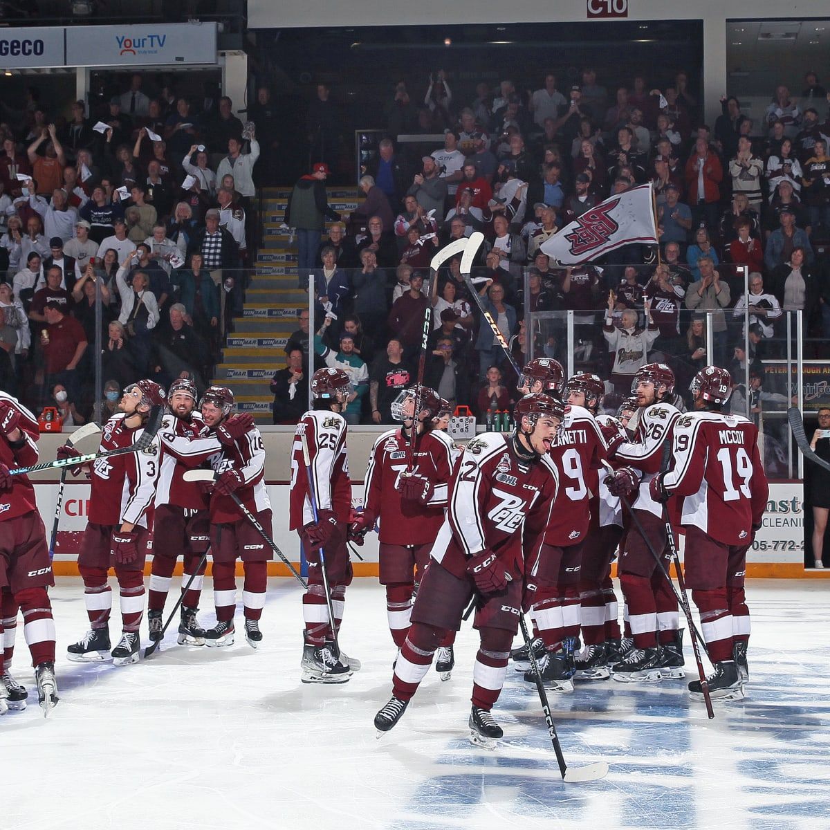 Peterborough Petes vs. London Knights