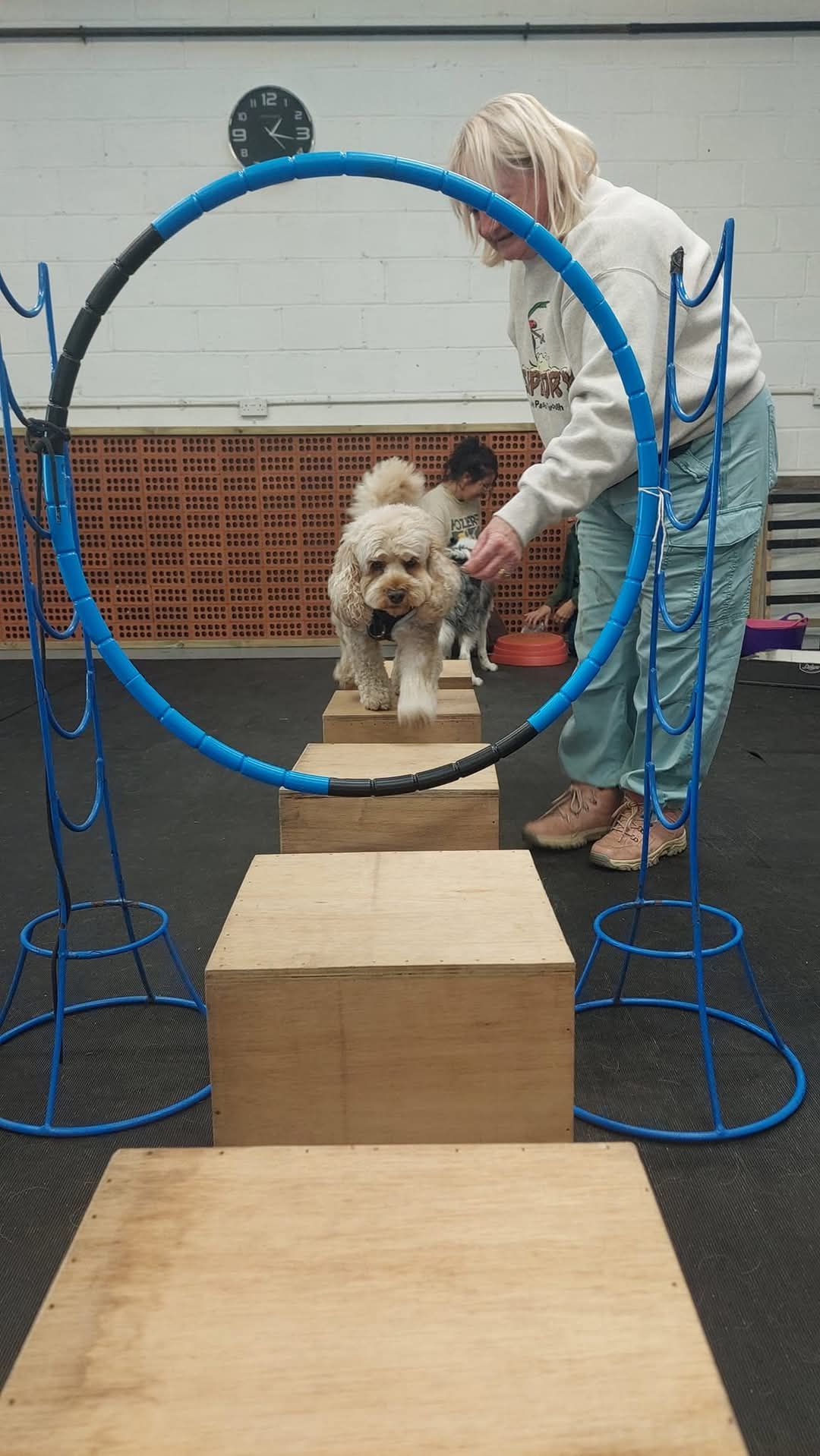 Circus Dog 