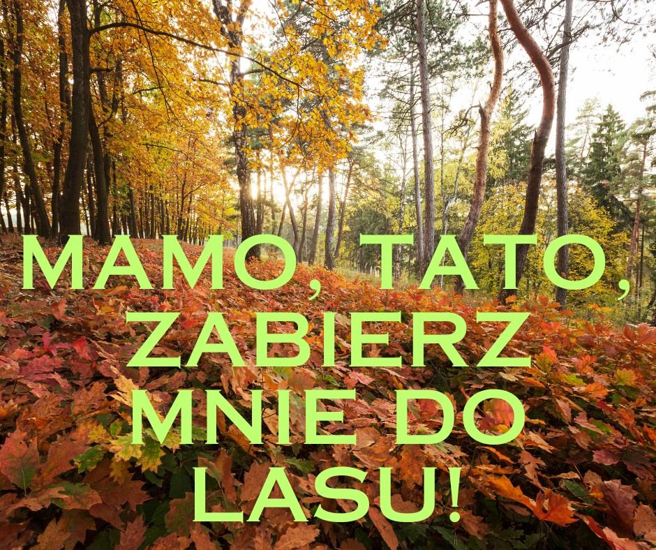 Mamo, tato, zabierz mnie do lasu! - Edycja jesienna!