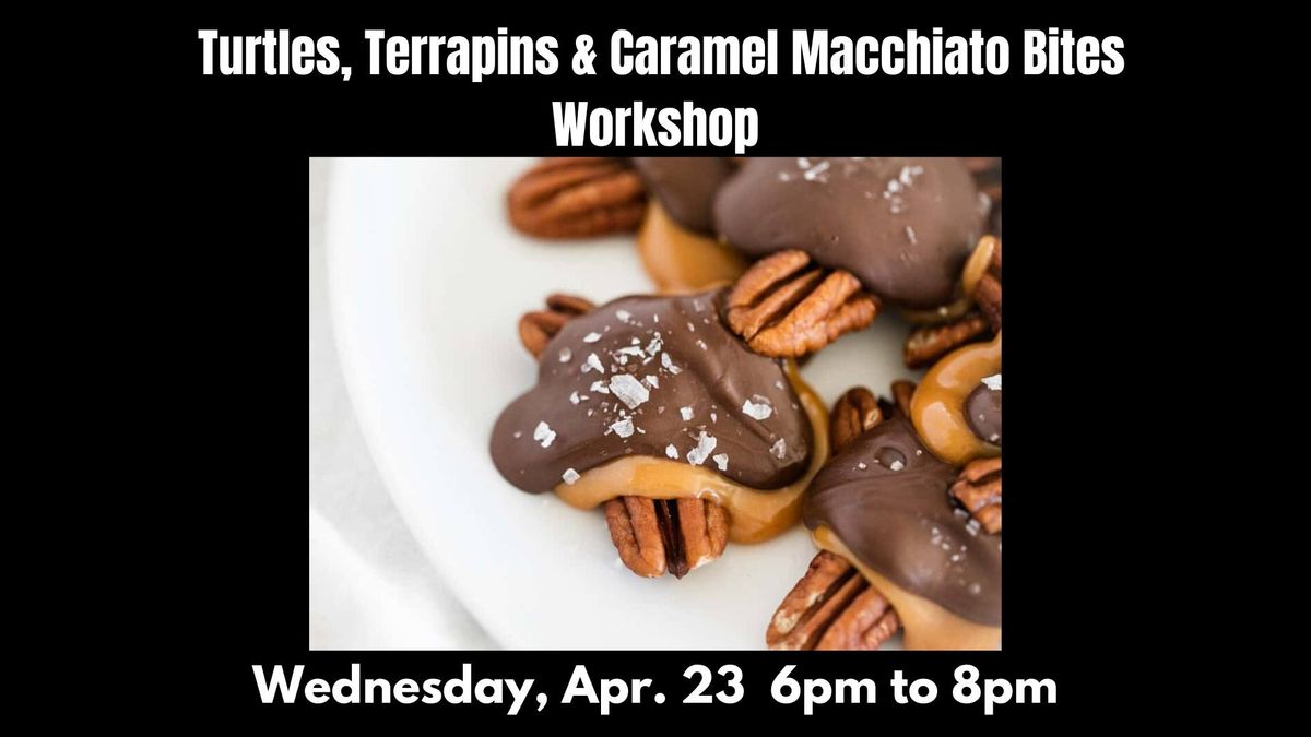 DIY Workshop - Turtles, Terrapins and Caramel Macchiato Bites