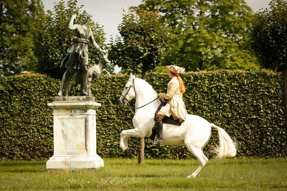 Alte Meister der Reitkunst: Immer u. immer wieder? Online Vortrag mit Diana Krischke