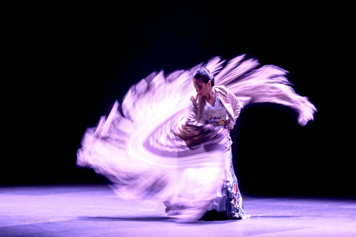 Mercedes Ruiz, Flamenco Dance Workshops