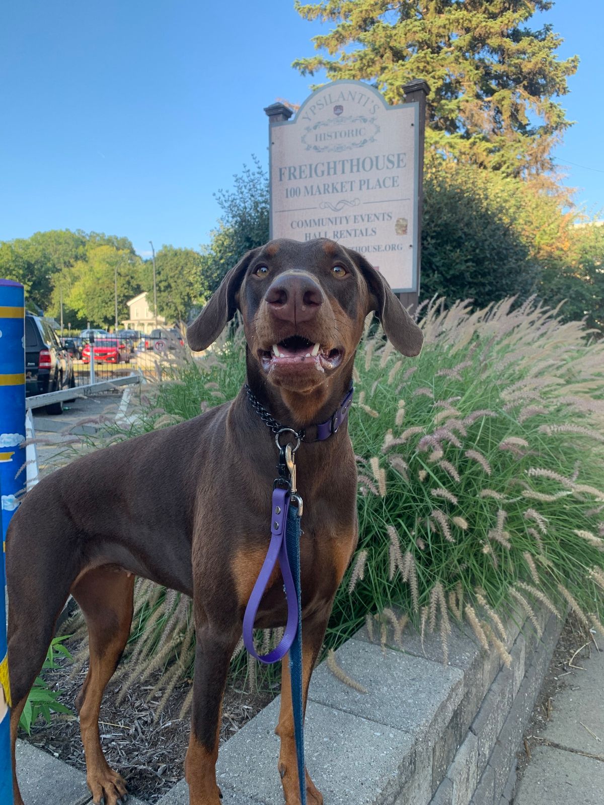 Pack Walk at Rolling Hills Park