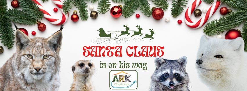 Santa's Grotto at Ark Wildlife Park