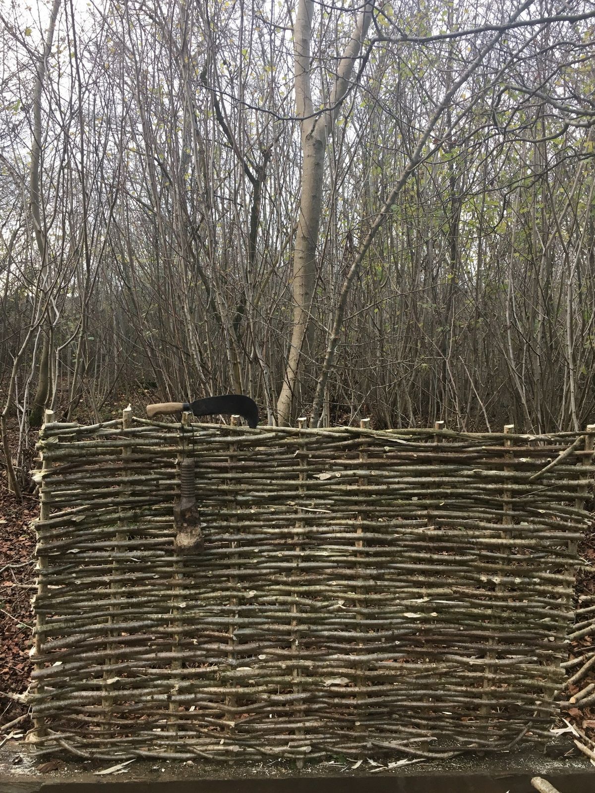 Introduction to Hazel Splitting & Hurdle Making