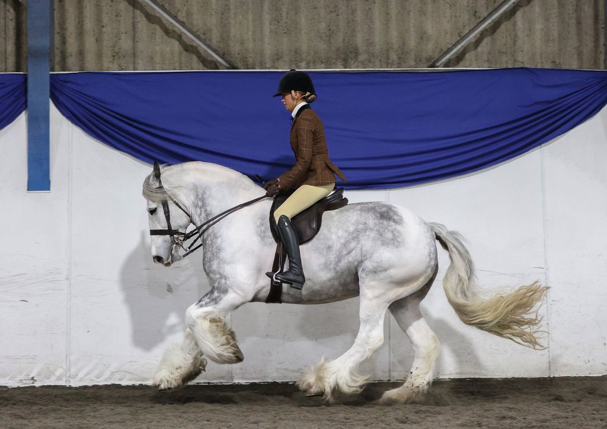 Selston Winter Show Weekend - November