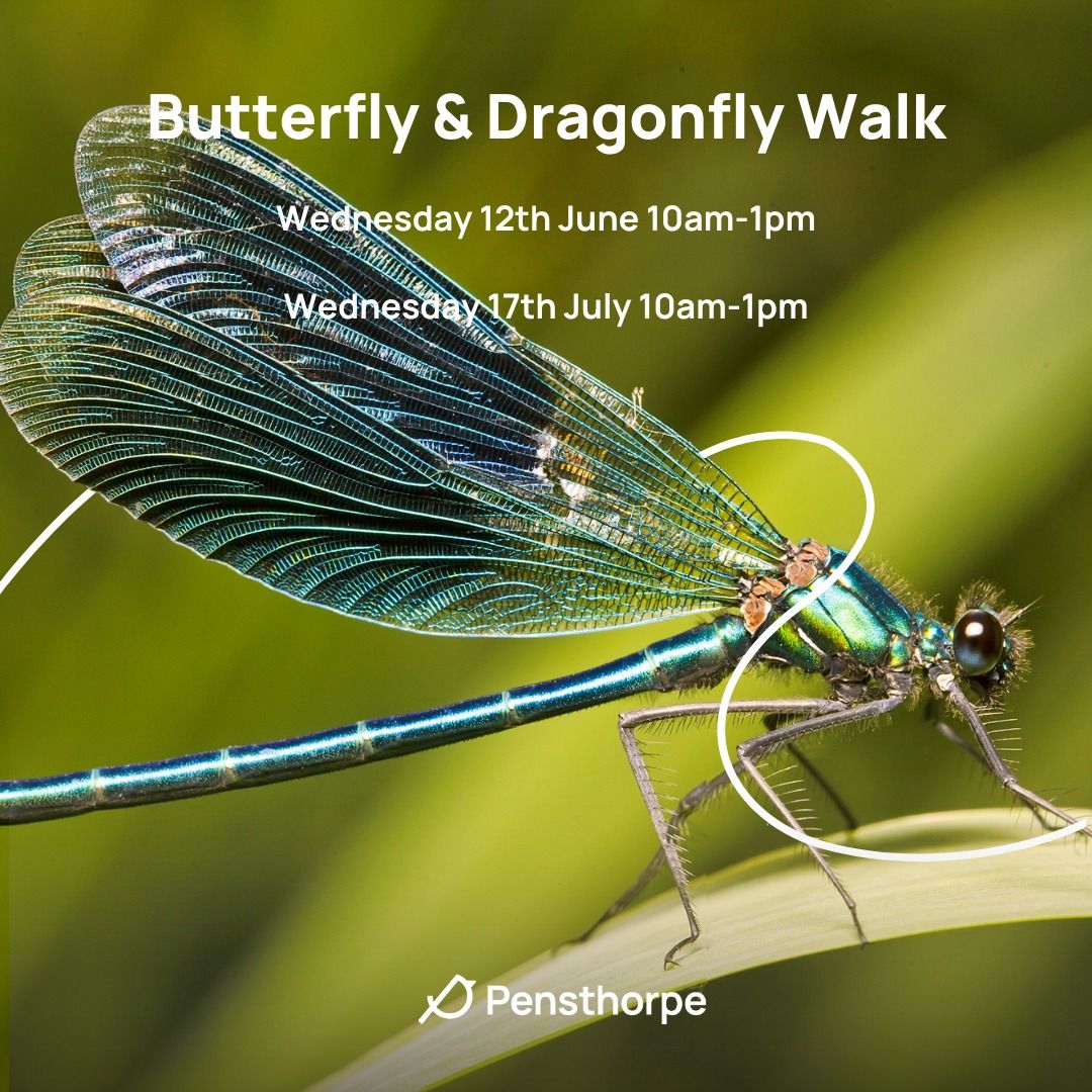 Butterfly & Dragonfly walk at Pensthorpe