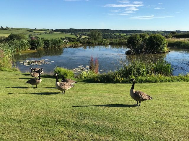 Sunday Afternoon Music in the Garden at Offcote Grange