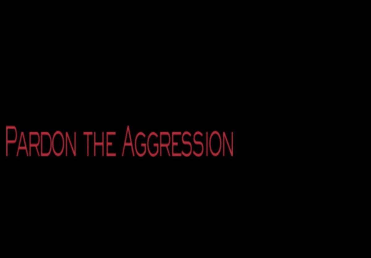 Introducing Pardon The Aggression!