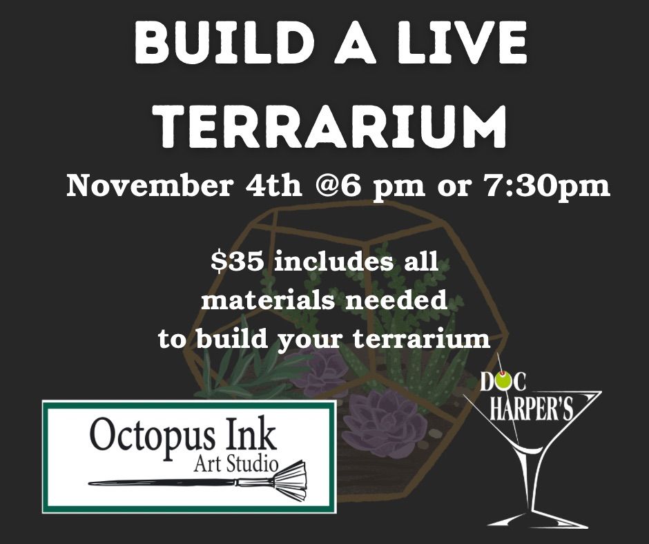 Build a LIVE Terrarium 