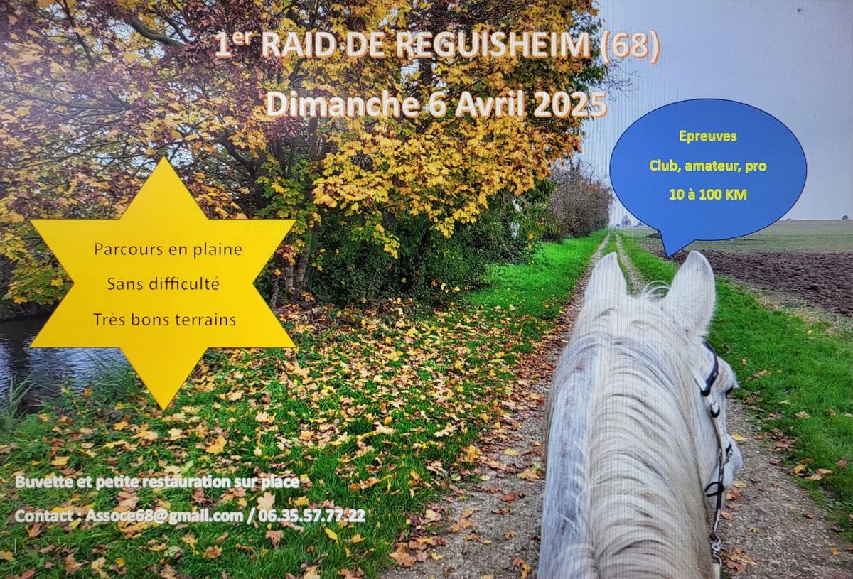 Raid de Reguisheim 