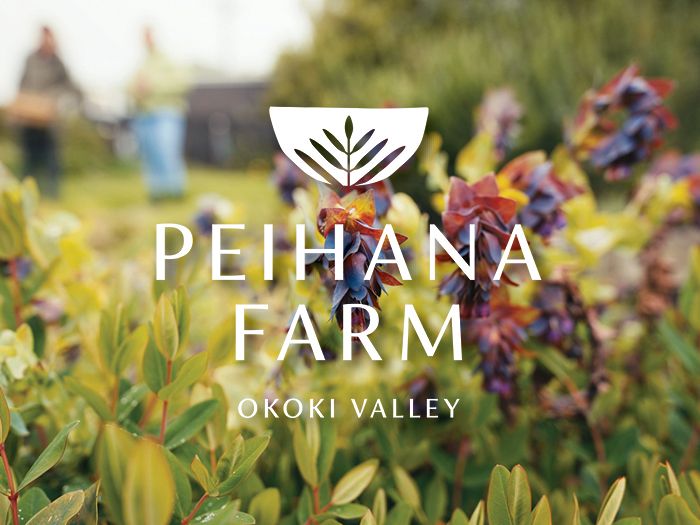 Be Refreshed with Peihana Farm and Blue Petal