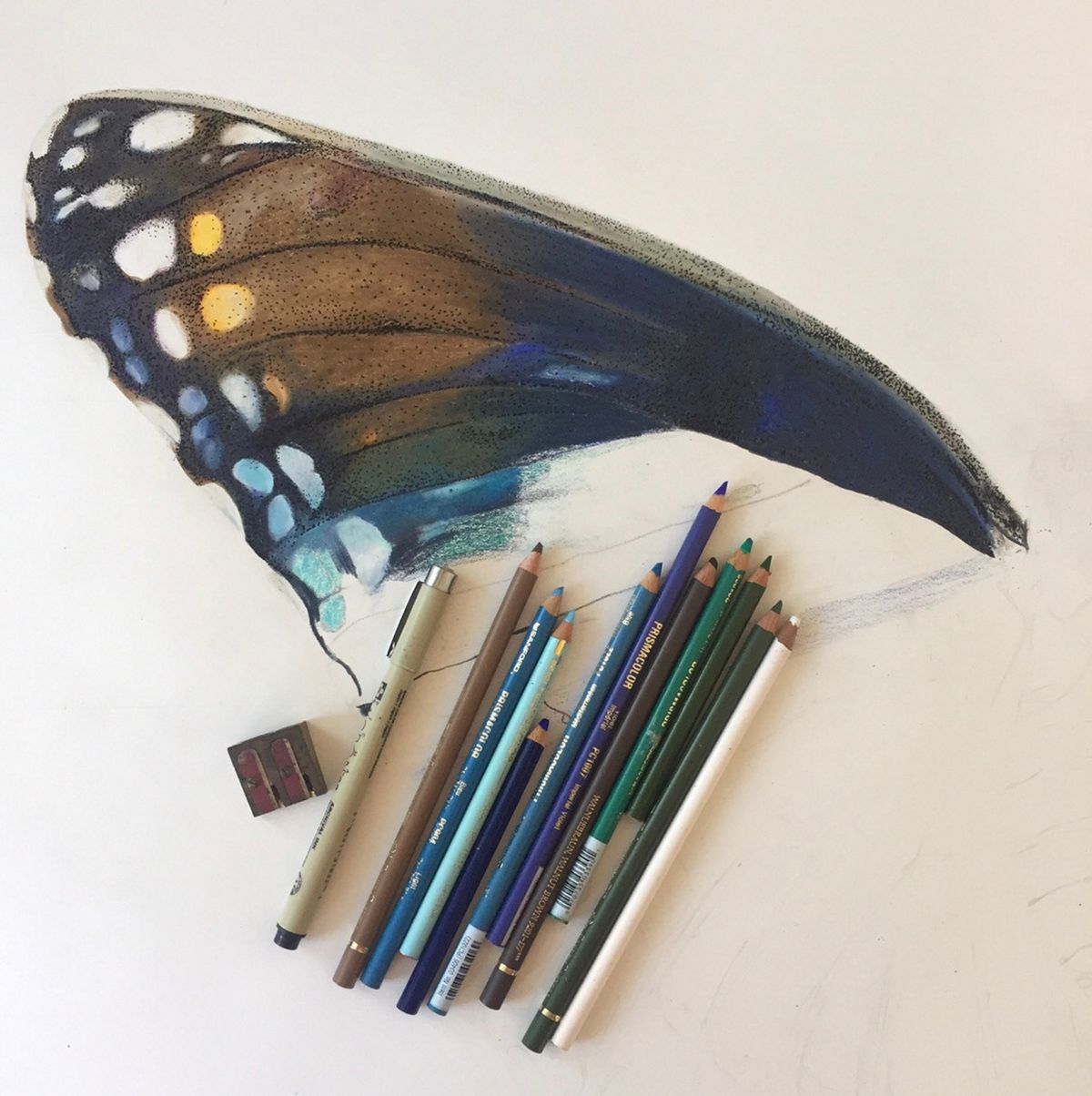Art Methods for Adults - Drawing with Colored Pencils and Ink