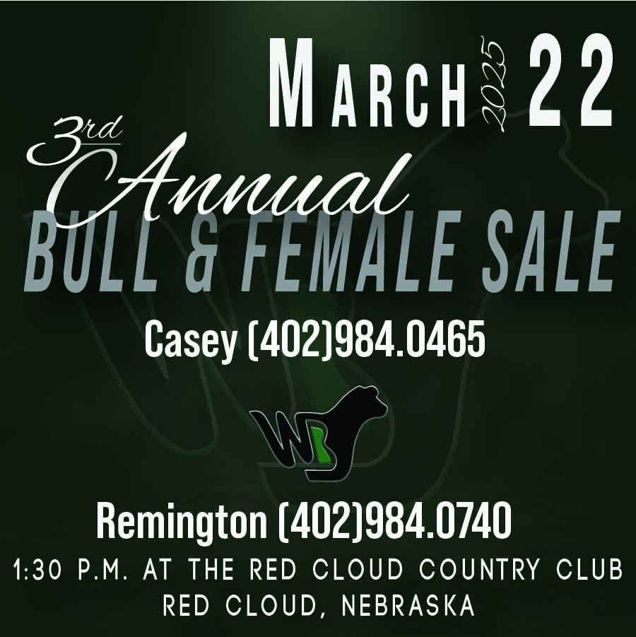 3rd Annual Bull & Female Sale