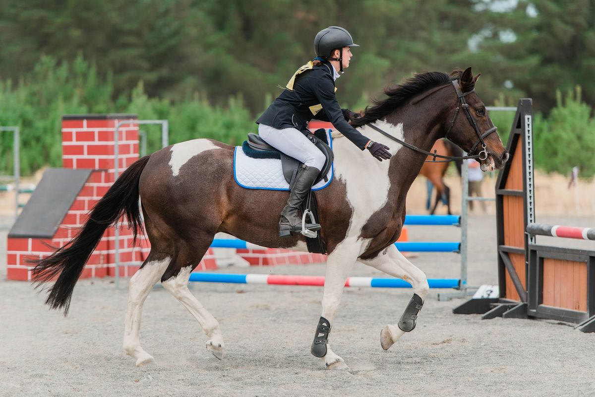 Roydvale Waitangi Day Show Jumping