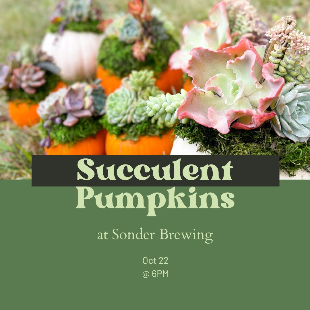 Succulent Pumpkins at Sonder Brewing