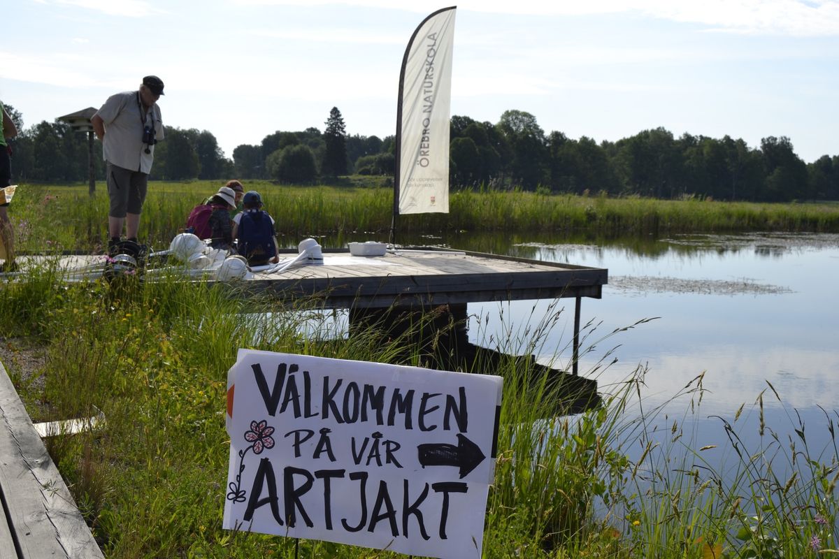 Artjakt vid Naturens Hus i \u00d6rebro