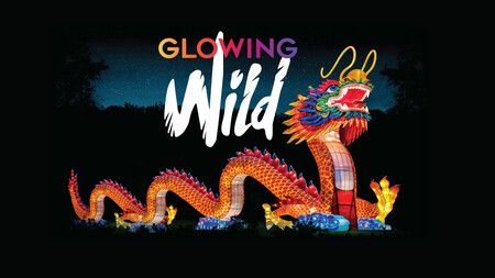 Glowing Wild: An Illuminated Wildlife Lantern Festival