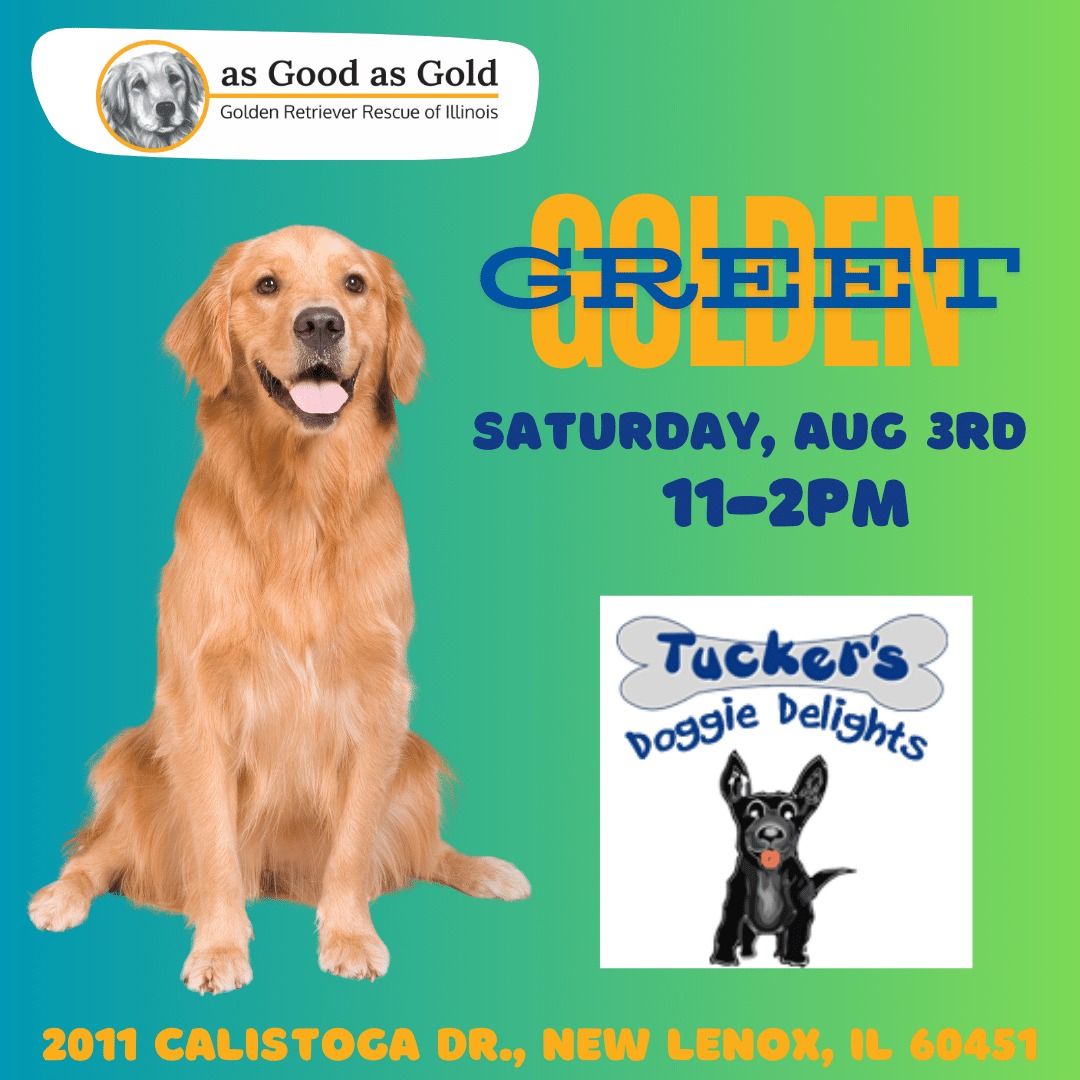 Golden Greet @ Tucker's Doggie Delights