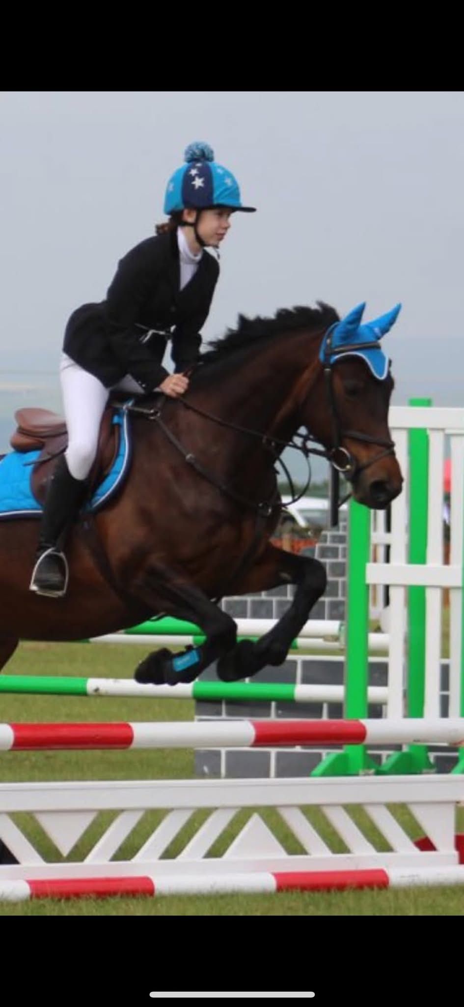 Show jumping inc members points