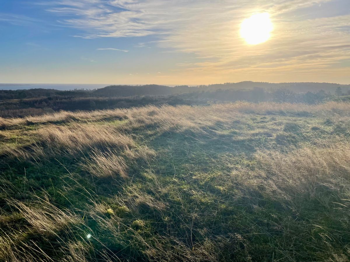 Vandring og Meditation i Mols Bjerge