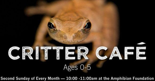 Critter Caf\u00e9 - Ages 0-5 