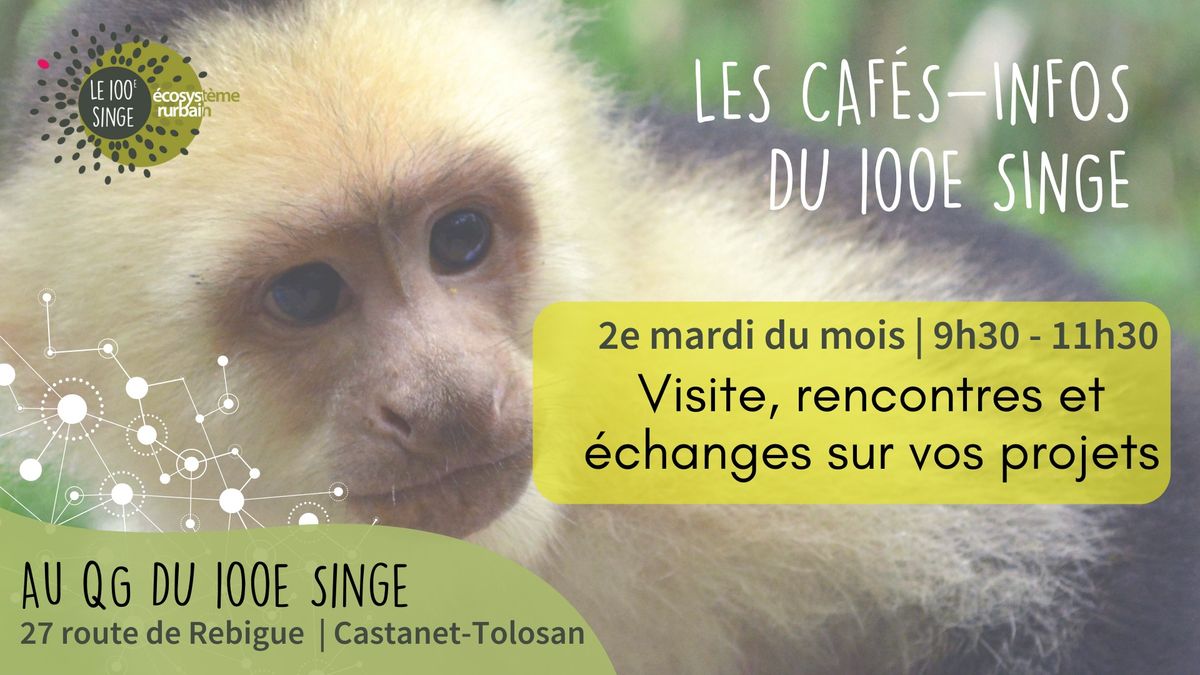 Caf\u00e9 info - visite et d\u00e9couverte du 100e Singe