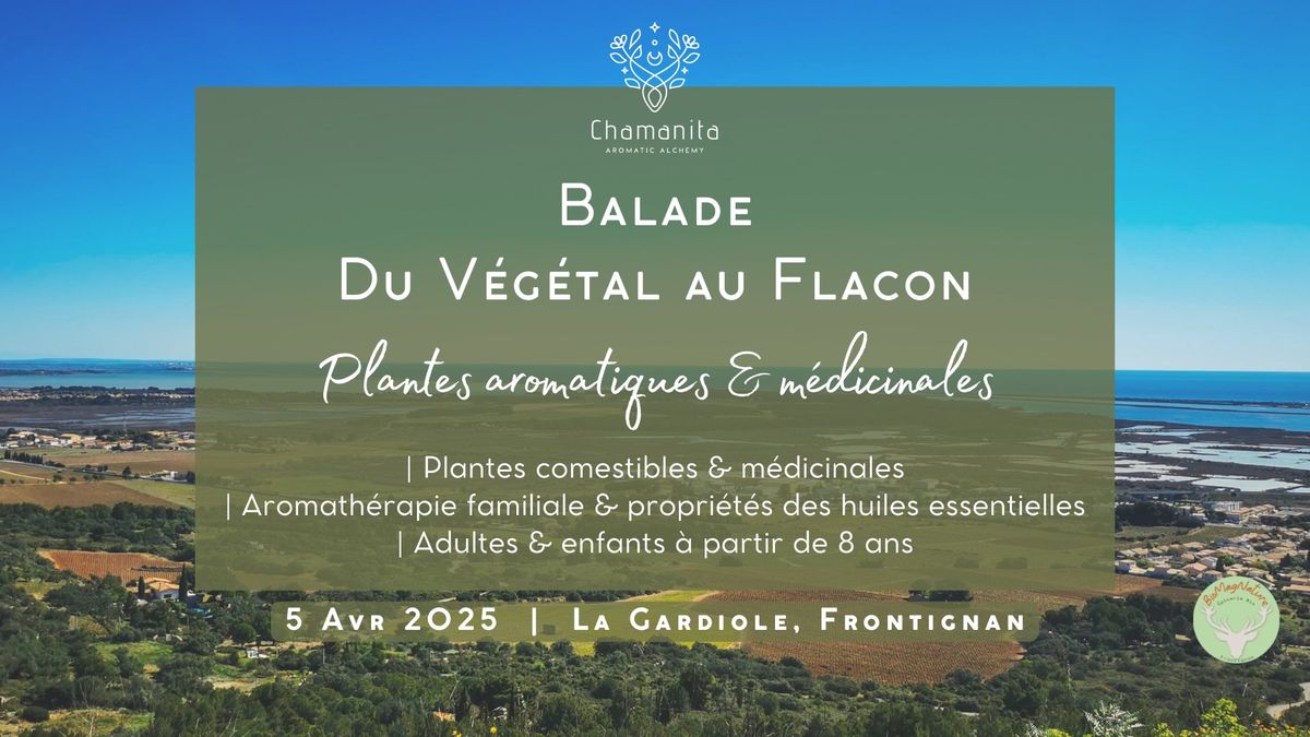 Balade Du V\u00e9g\u00e9tal au Flacon | Plantes et Huiles Essentielles de la Garrigue