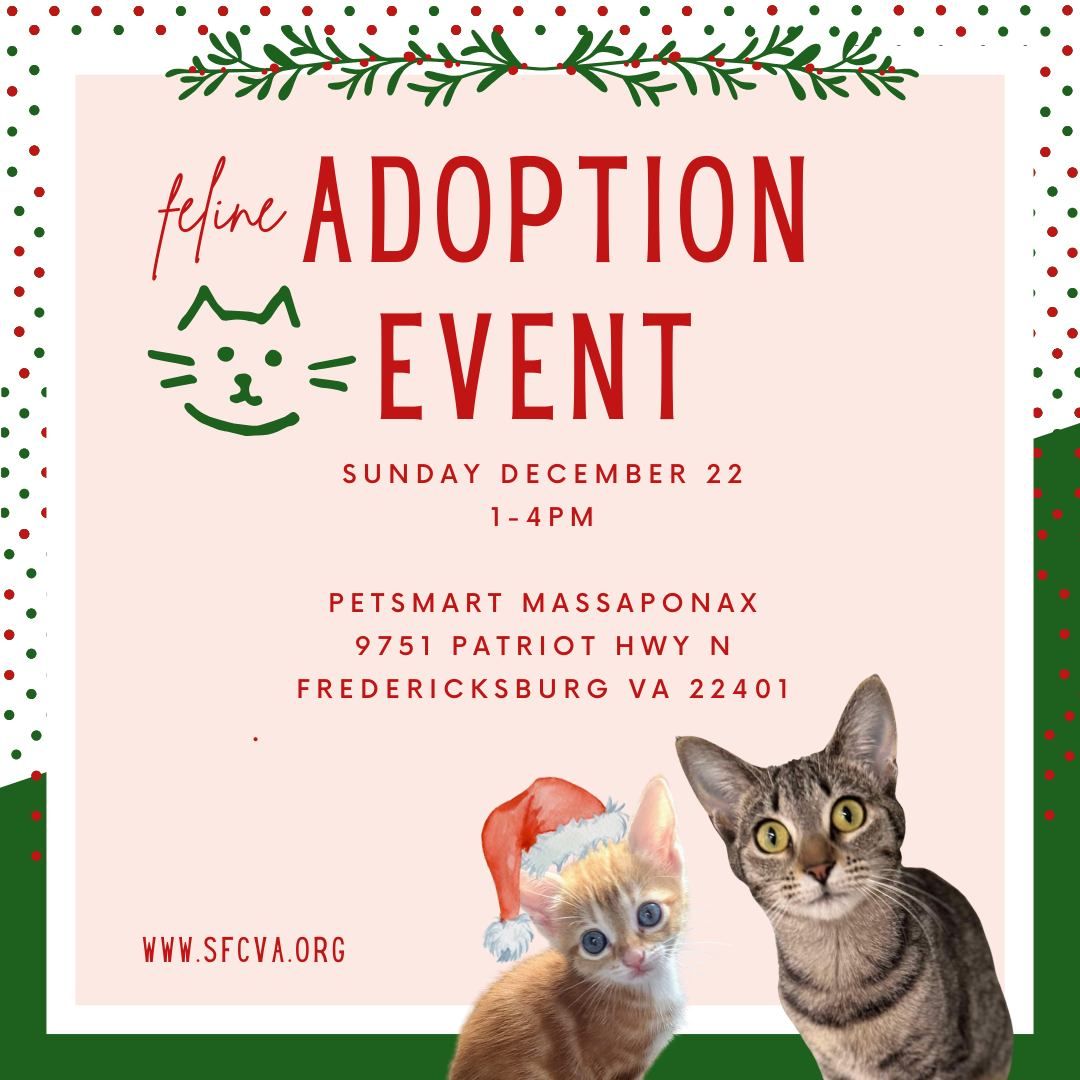 12\/22 Feline Adoption Event at Petsmart Massaponax