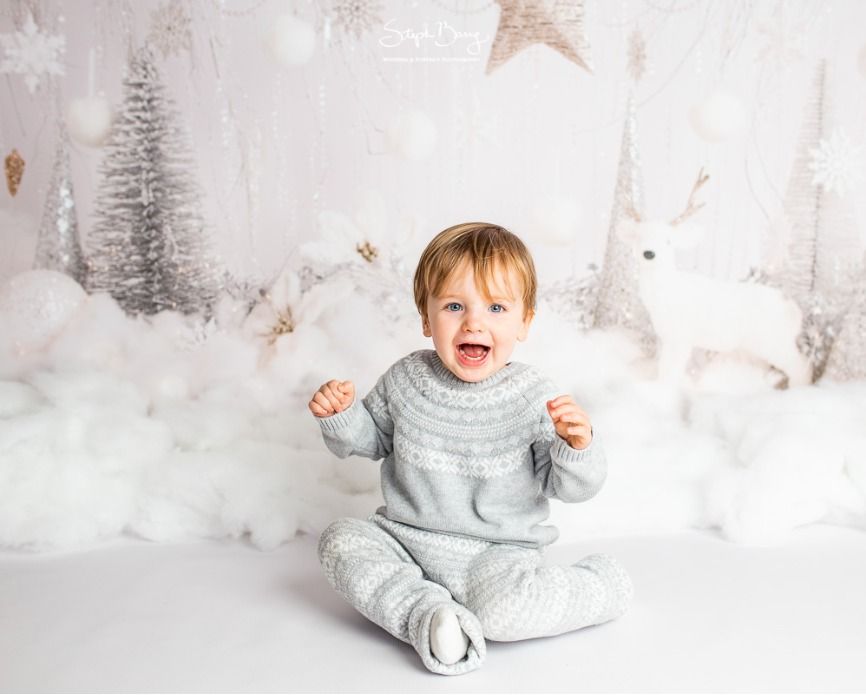 Christmas Mini Sessions