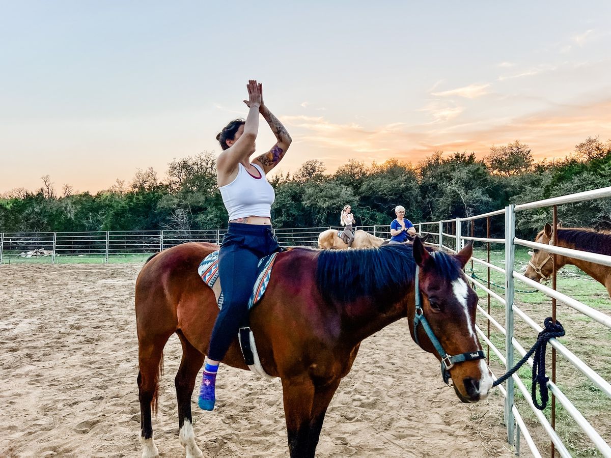 Equine Yoga Training