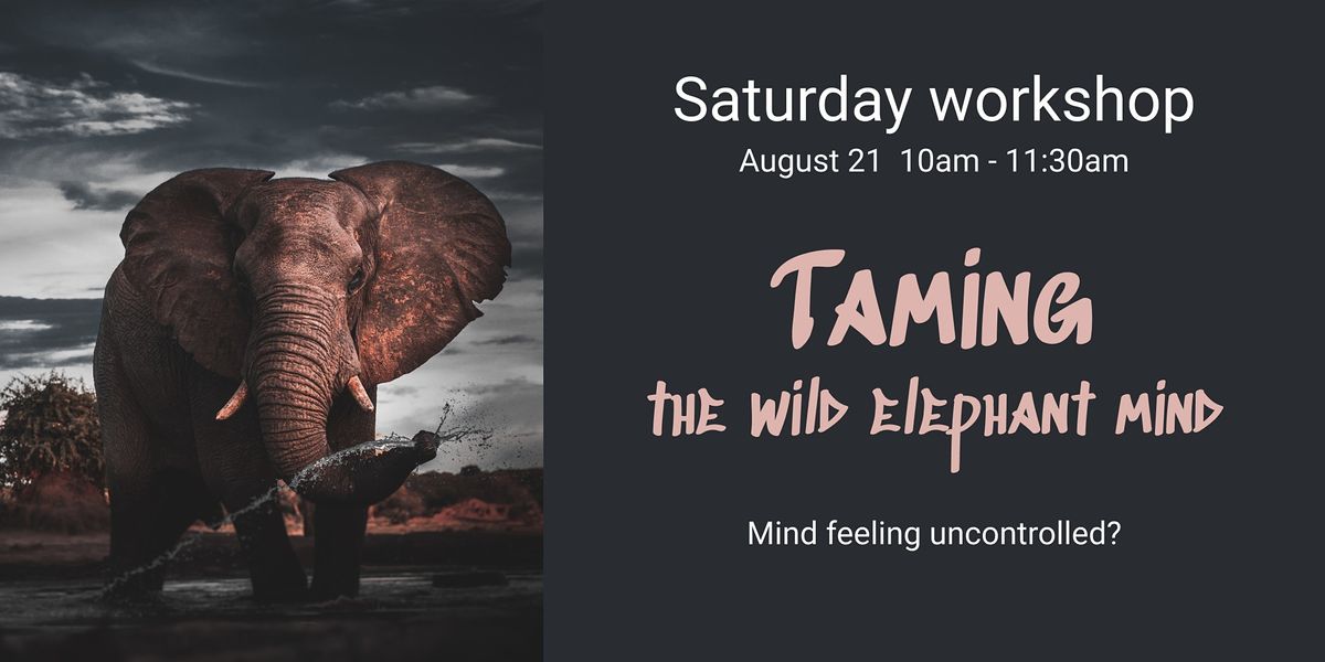 Taming the Wild Elephant Mind